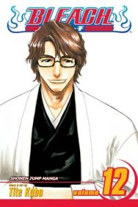 Bleach Vol. 12 (Manga)