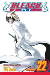 Bleach Vol. 22 (Manga)