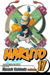 Naruto Vol. 17 (Manga)