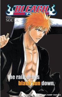 Art Book: Bleach - Character Profiles 1 Souls