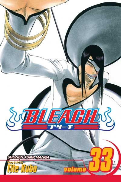 Bleach Vol. 33 (Manga)