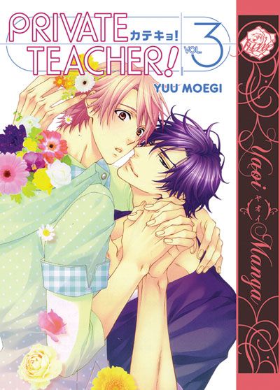 Private Teacher! Vol. 3 (Yaoi Manga)