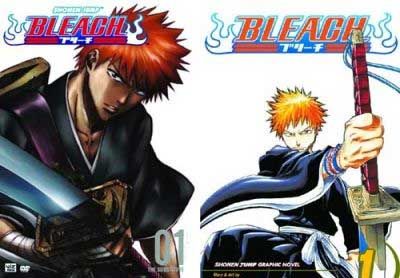 Bleach Vol. 1 DVD w/ Manga