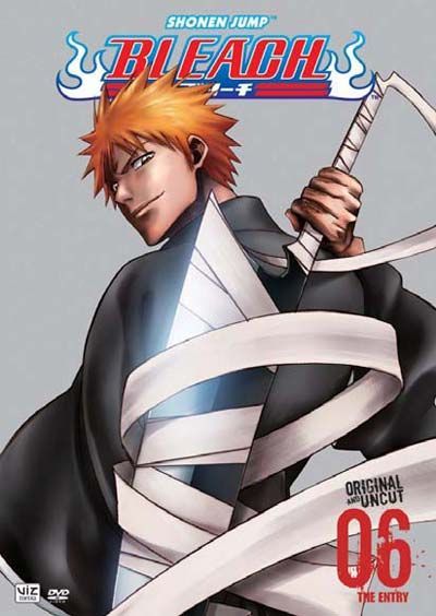 Bleach Vol. 6 (DVD)