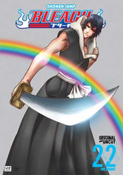 Bleach Vol. 22 (DVD)