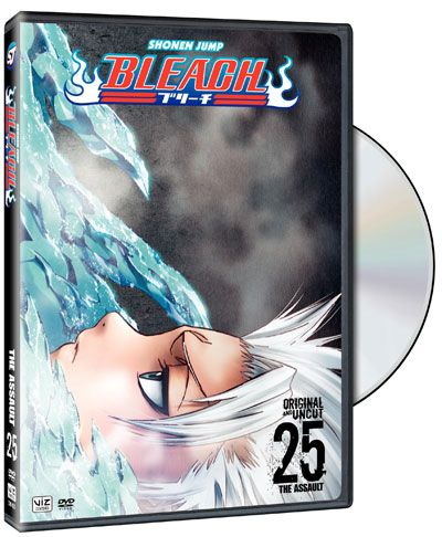 Bleach Vol. 25 (DVD)