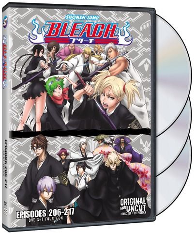 Bleach: Season 14 Collection (DVD Box Set)