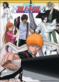 Bleach: Team Wall Scroll