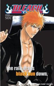 Art Book: Bleach - Character Profiles 1 Souls