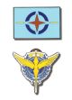 Pins: Gundam 00 - Celestial Being and AEU Symbols (Set of 2)