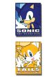 Pins: Sonic - Sonic and Tails Frame (Set of 2)