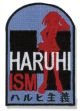 Patch: Haruhi - Haruhism