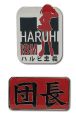 Pins: Haruhi - Haruhi-ism and Danchou (Set of 2)