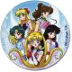 Button: Sailor Moon - Group 3''