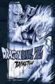 T-Shirt: Dragon Ball Z - Taiketsu (M)