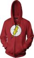 Hoodies: Flash - Logo (M)