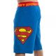 Shorts: Superman - Logo Blue Boardshorts (L) <font class=''item-notice''>[<b>Street Date</b>: TBA]</font>