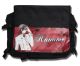 Bag: Vampire Knight - Kaname Messenger