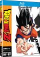 Dragon Ball Z: Level 1.1 (Blu-Ray)