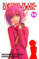 Bamboo Blade Vol. 14 (Manga)