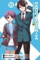 Haruhi Vol. 12 (Manga)