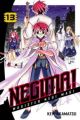 Negima Vol. 13 (Manga)