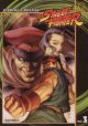 Street Fighter Vol.  3: Fighter's Destiny (Manga)