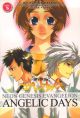 Evangelion: Angelic Days Vol.  5 (Manga)