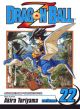 Dragon Ball Z Vol. 22 (Manga)