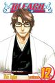 Bleach Vol. 12 (Manga)