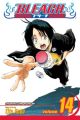 Bleach Vol. 14 (Manga)