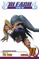 Bleach Vol. 17 (Manga)