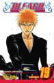 Bleach Vol. 19 (Manga)