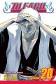 Bleach Vol. 20 (Manga)