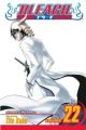 Bleach Vol. 22 (Manga)