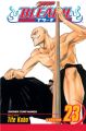 Bleach Vol. 23 (Manga)