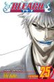 Bleach Vol. 25 (Manga)
