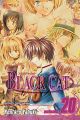 Black Cat Vol. 20 (Manga)