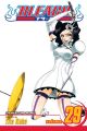 Bleach Vol. 29 (Manga)