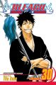 Bleach Vol. 30 (Manga)