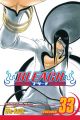 Bleach Vol. 33 (Manga)