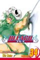 Bleach Vol. 34 (Manga)
