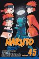 Naruto Shippuden Vol. 45 (Manga)