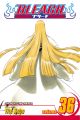 Bleach Vol. 36 (Manga)