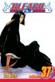 Bleach Vol. 37 (Manga)