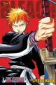 Bleach Omnibus Vol.  1 (Manga)
