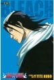 Bleach Omnibus Vol.  3 (Manga)