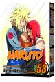 Naruto Shippuden Vol. 53 (Manga)