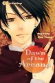 Dawn of the Arcana Vol.  3 (Manga)
