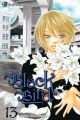 Black Bird Vol. 13 (Manga)